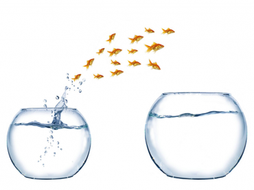 Driving User Adoption of a UCC Solution